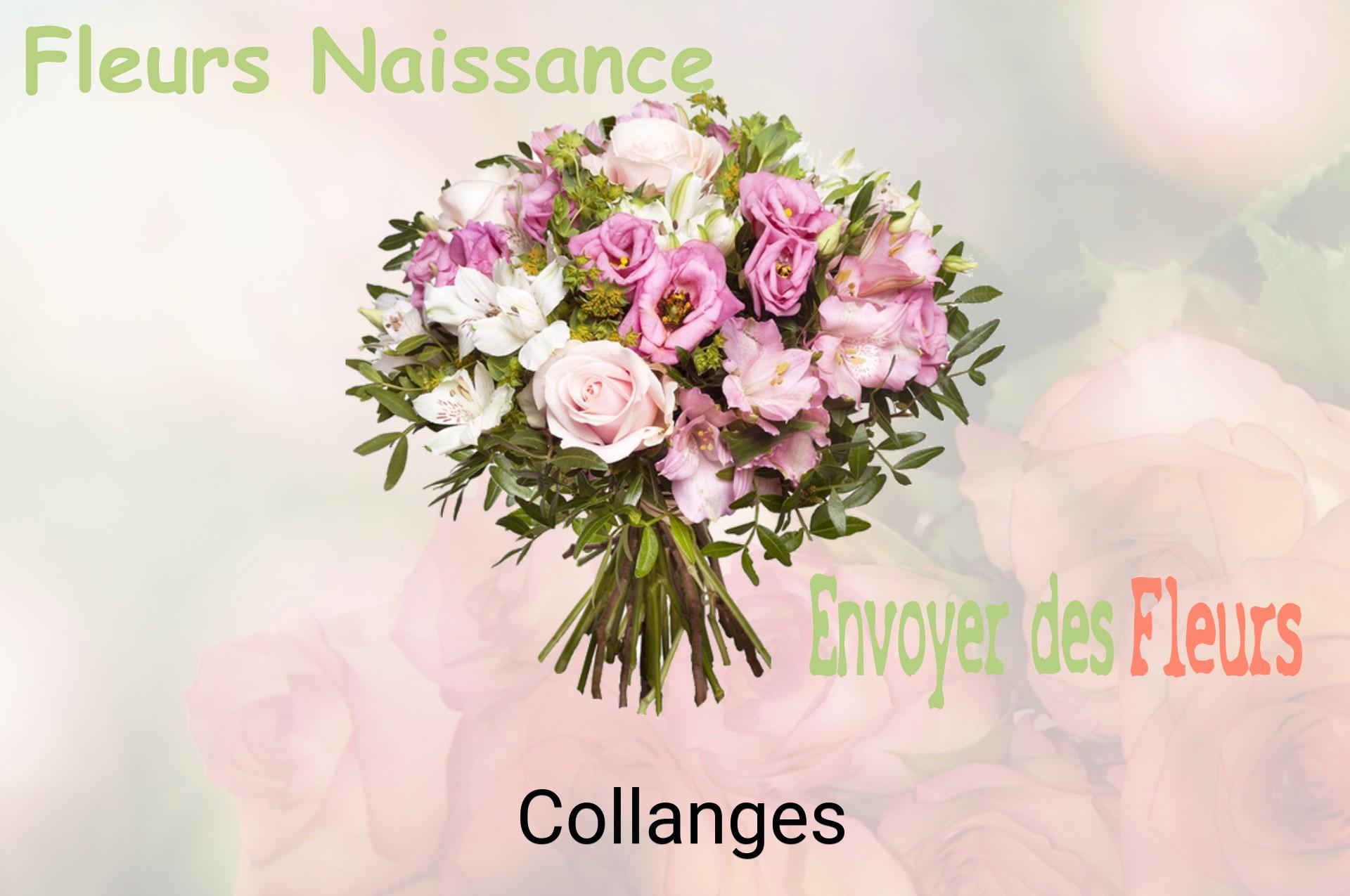 Bouquet de fleurs de naissance livré à Collanges